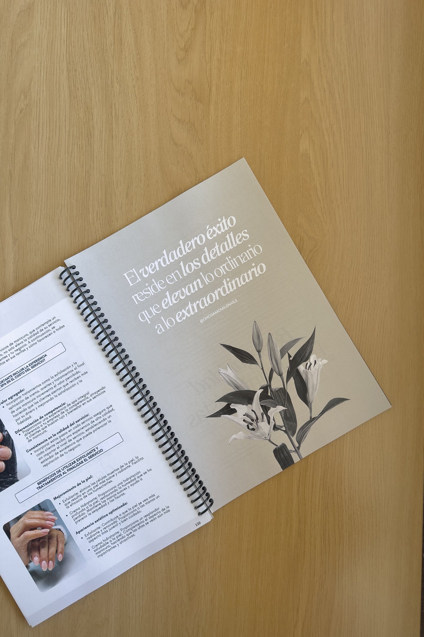 Manual de Entrenamiento (Español)